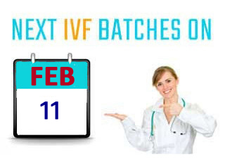 next ivf batch in nagercoil